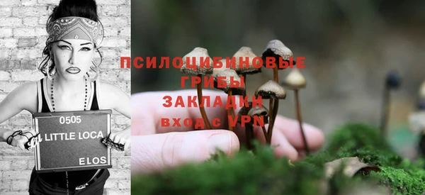 apvp Балахна