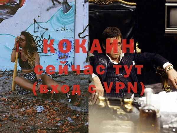 мяу мяу мука Баксан
